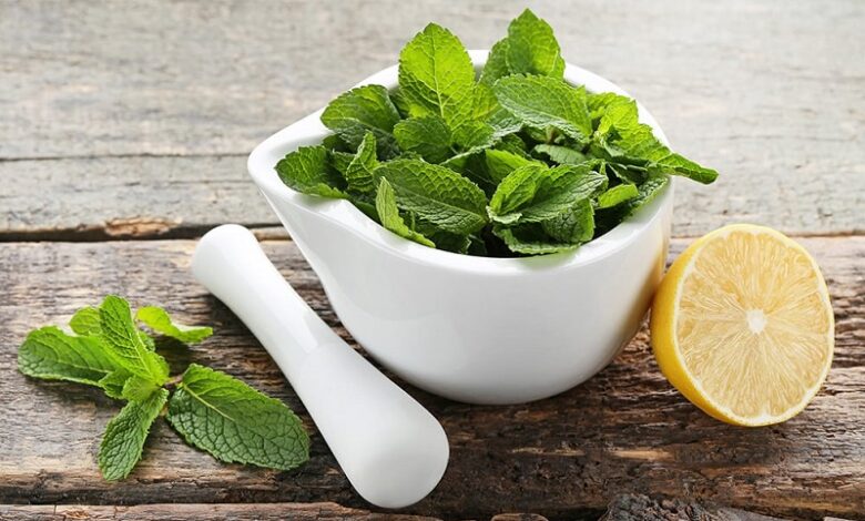 Limon Balsamı Çayının 9 İnanılmaz Sağlık Faydası